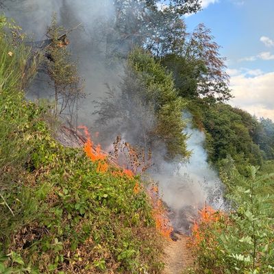 FW Rösrath: Waldbrand am Lüderich