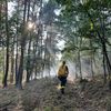 FW Nideggen: Waldbrand im Nationalpark bei Schmidt