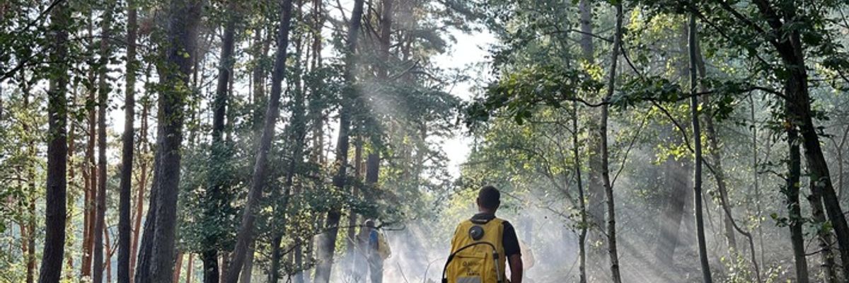 FW Nideggen: Waldbrand im Nationalpark bei Schmidt