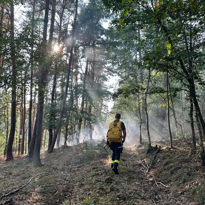 FW Nideggen: Waldbrand im Nationalpark bei Schmidt