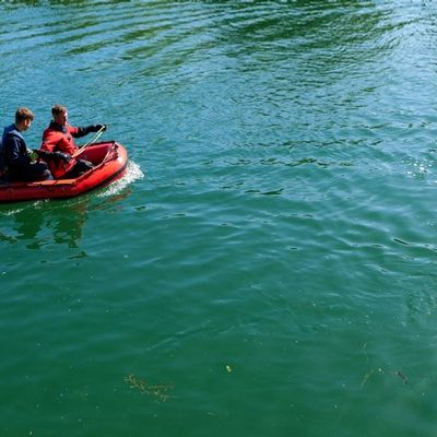 FW-DO: Feuerwehr rettet jungen Rehbock aus dem Kanal
