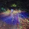 FW-KLE: Herbststurm sorgt für mehrere Feuerwehreinsätze in Bedburg-Hau