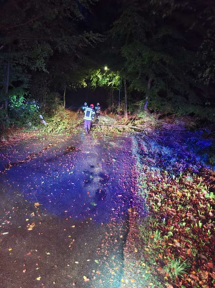 FW-KLE: Herbststurm sorgt für mehrere Feuerwehreinsätze in Bedburg-Hau
