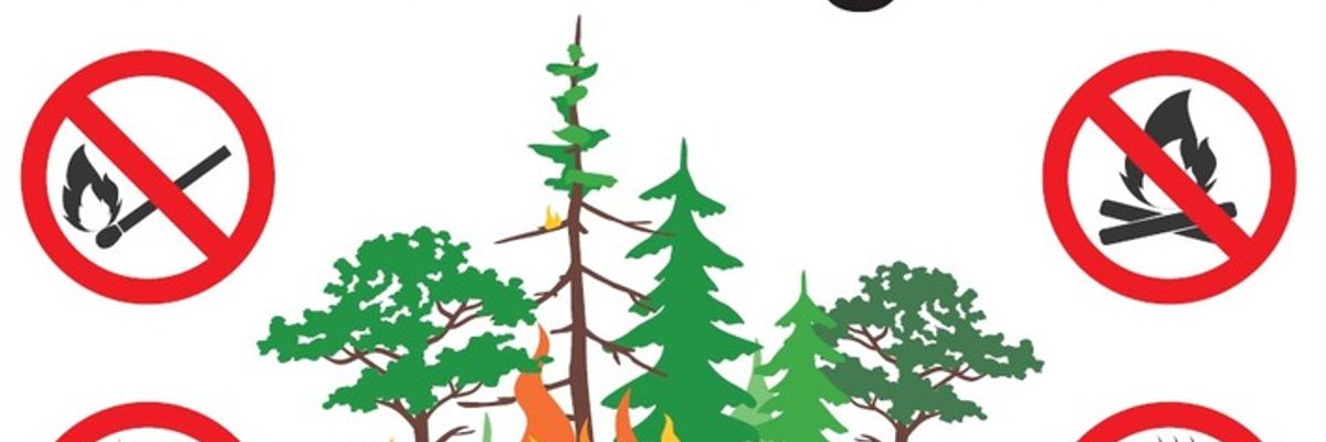 FW-MG: Vegetationsbrand in Odenkirchen - Feuerwehr löscht brennenden Holzverschlag im Wald