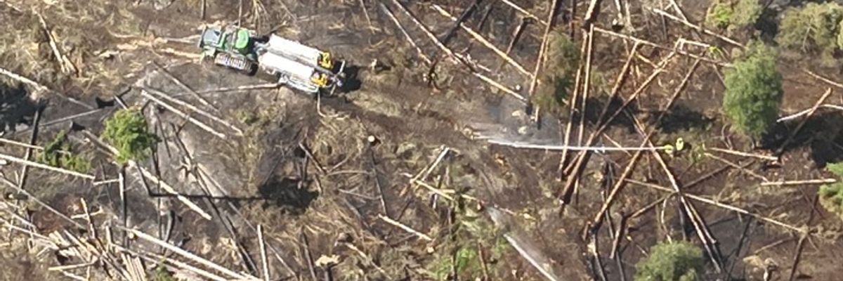 FW Kreis Soest: Vierte Folgemeldung zum Waldbrand am Möhnesee