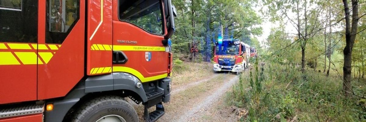 FW Lügde: Waldbrand zwischen Elbrinxen und Henkenbrink
