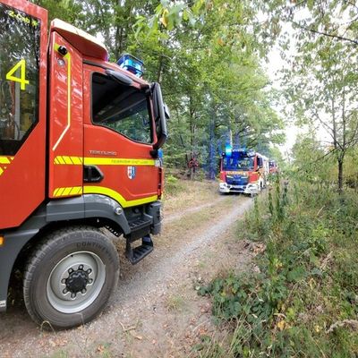 FW Lügde: Waldbrand zwischen Elbrinxen und Henkenbrink
