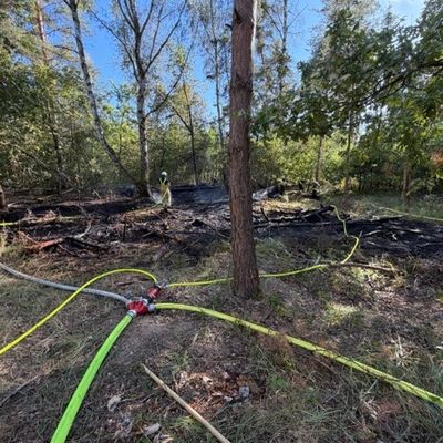 FW Speyer: Waldbrand auf dem Truppenübungsplatz