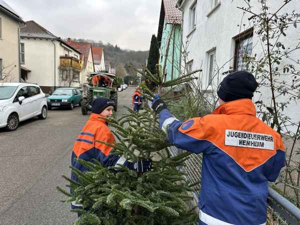 FW Weinheim: Jugendfeuerwehr Weinheim sammelt wieder ausgediente Christbäume ein