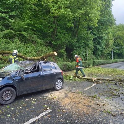 FW-EN: Massiver Baum stürze auf fahrenden Pkw - Zwei Verletzte bei Unfall in Herdecke - Großes Glück für Insassen