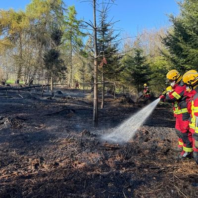 FW-Velbert: Waldbrand in Velbert-Neviges