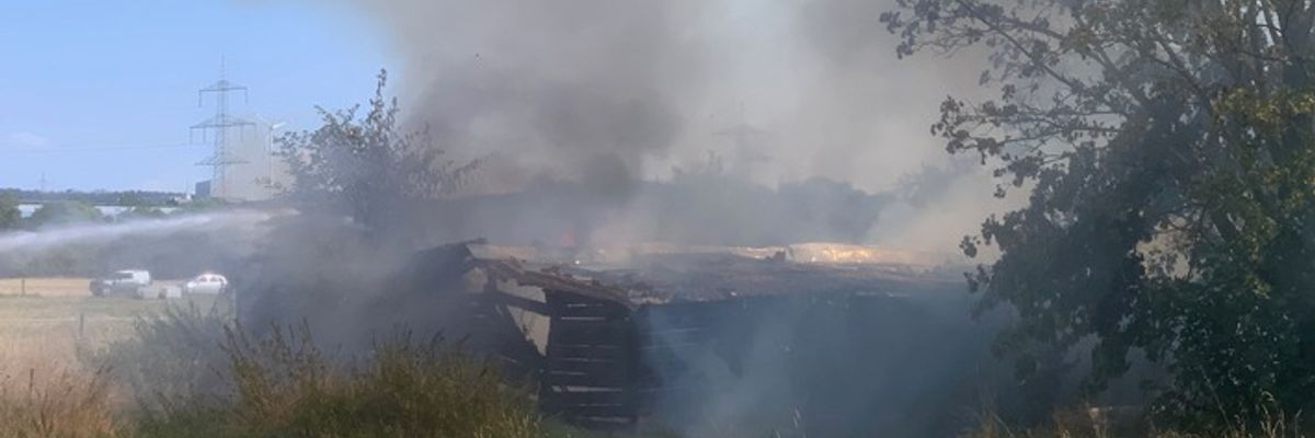 FW Paderborn: 02.08.2026 - Schuppenbrand und Heimrauchmelder in Wewer