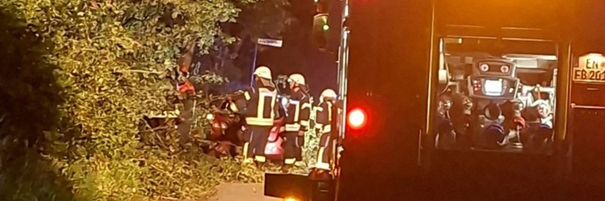 FW-EN: Technische Hilfeleistung - Baum auf Straße
