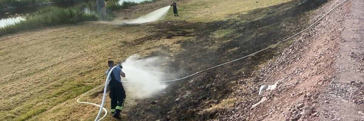 FW-OG: Grasflächenbrand am Kinzigdamm - Trockenheit und Hitze fordern ihren Tribut