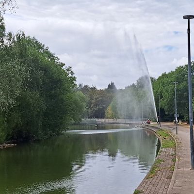FW-BO: Technischer Betrieb der Stadt Bochum und Feuerwehr Bochum verhindern Fischsterben in Regenrückhaltebecken