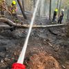 FW Nideggen: Ausgedehnter Waldbrand im Nationalpark bei Schmidt