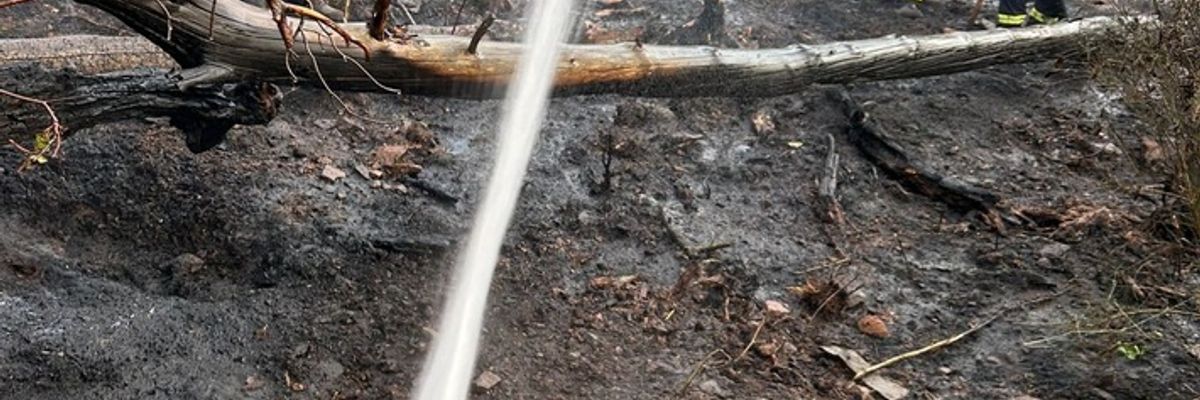 FW Nideggen: Ausgedehnter Waldbrand im Nationalpark bei Schmidt