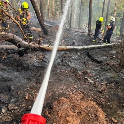 FW Nideggen: Ausgedehnter Waldbrand im Nationalpark bei Schmidt