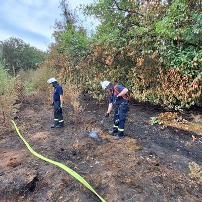 FW Sonsbeck: Aufräumarbeiten Waldbrand Labbeck