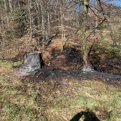 FW Hüllhorst: Waldbrand- und Flächenbrand in Hüllhorst Gemeldeter Wohnungsbrand 03. + 04.04.2025