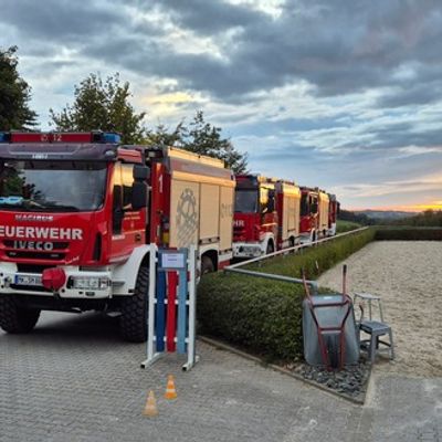 FW Schalksmühle: Feuerwehr trifft Pferd
