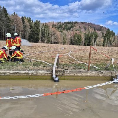 FW Stockach: H2 Großtier in Notlage