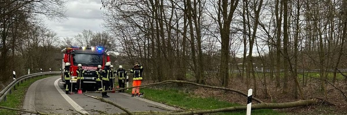 FW Sonsbeck: Umgestürzter Baum in der Zufahrt zur A57
