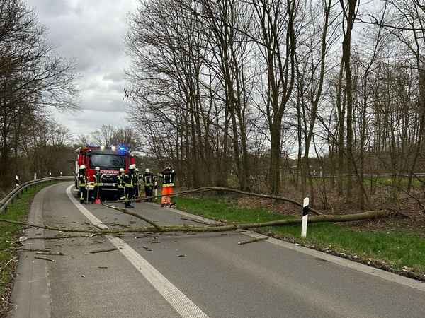 FW Sonsbeck: Umgestürzter Baum in der Zufahrt zur A57