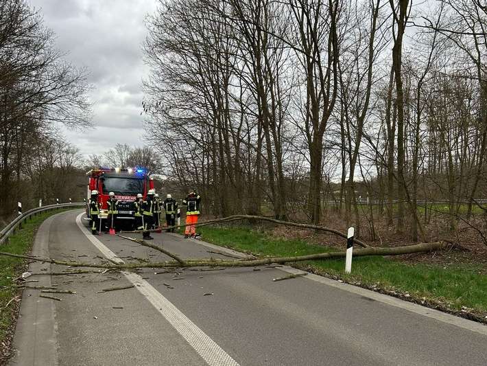 FW Sonsbeck: Umgestürzter Baum in der Zufahrt zur A57