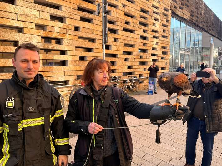 FW-W: Bussard mit Arbeitsunfall