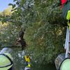 FW-Schermbeck: Fünf Einsätze für die Feuerwehr Schermbeck