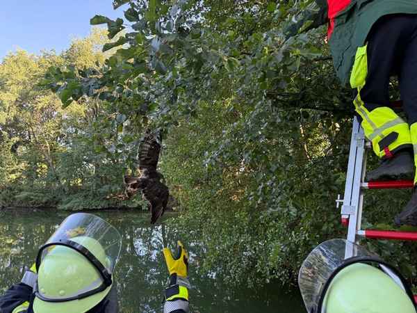 FW-Schermbeck: Fünf Einsätze für die Feuerwehr Schermbeck