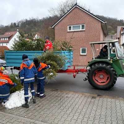 FW Weinheim: Hand in Hand durch Regen und Schnee. Jugendfeuerwehr sammelt Christbäume in den Weinheimer Ortsteilen
