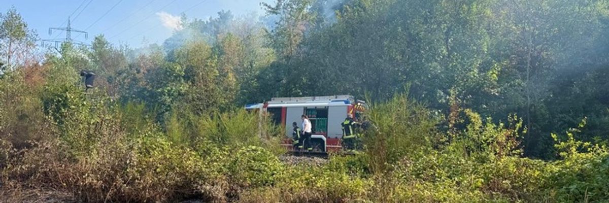 FW Bergheim: Abschlussmeldung zum Wald- und Vegetationsbrand an der Glessener Höhe