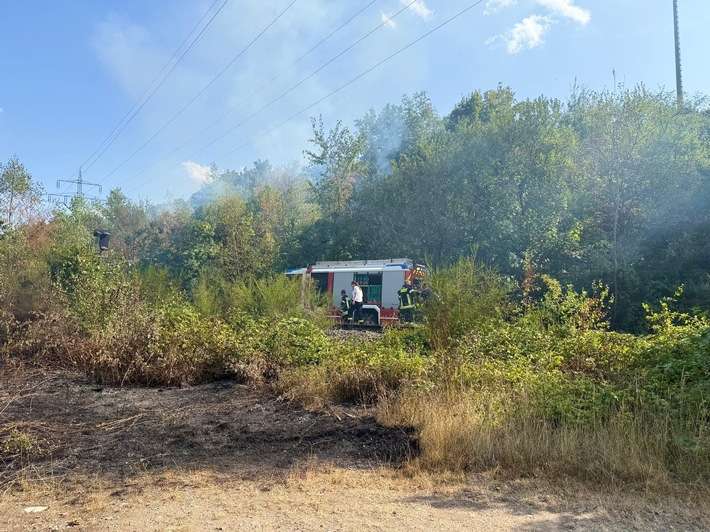 FW Bergheim: Abschlussmeldung zum Wald- und Vegetationsbrand an der Glessener Höhe
