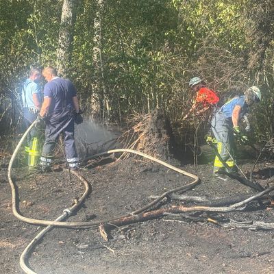 FW-ROW: Wald- und Flächenbrand zwischen Zeven und Godenstedt