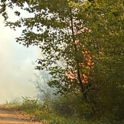 FW Bergheim: Erweiterte Einsatzinformation - Waldbrand an der Landstraße 91bei Oberaußem