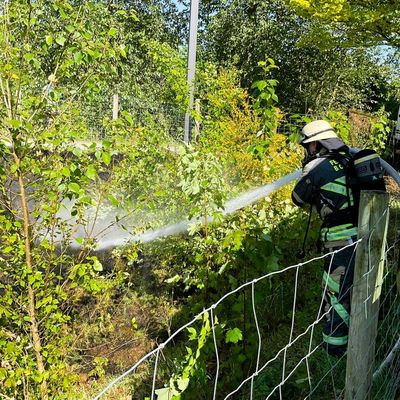 FW Bocholt: Vegetationsbrand am Radweg - Feuerwehr verhindert Ausbreitung