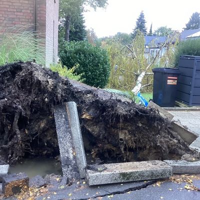FW-BO: Sturmtief "Luise" sorgt für weitere wetterbedingte Einsätze