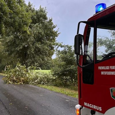 FW-AUR: Vermehrte Blitzeinschläge während nächtlicher Gewitter