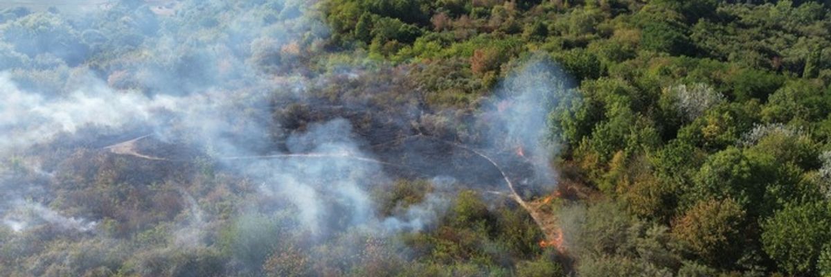 FW-GLA: Flächenbrand auf der Halde 22 in Gladbeck