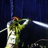 FW-D: Folgemeldung 1: Überörtliche Hilfe bei Waldbränden - Feuerwehr Düsseldorf unterstützt mit weiteren Feuerwehren in Düren