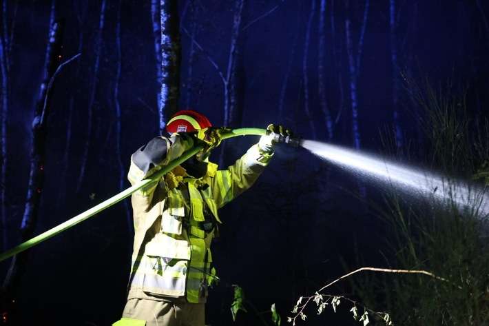 FW-D: Folgemeldung 1: Überörtliche Hilfe bei Waldbränden - Feuerwehr Düsseldorf unterstützt mit weiteren Feuerwehren in Düren
