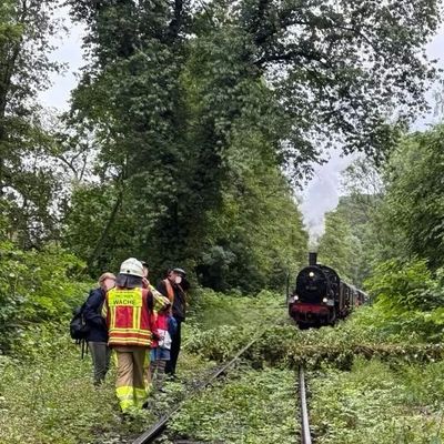 FW-EN: Umgestürzter Baum stoppt Museumszug - Feuerwehr Hattingen im Einsatz