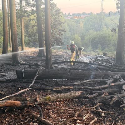 FW-RS: Waldbrand Westerholt