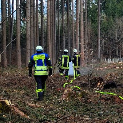 FW Eigeltingen: Feuerwehr-Abteilungen Honstetten, Reute und Eigeltingen werden zu Brand im Wald alarmiert