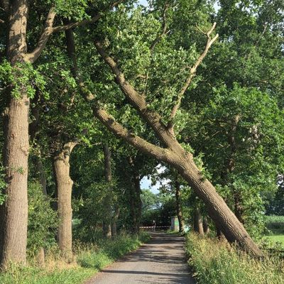 FFW Schiffdorf: Unwetter sorgt für viele Einsätze im Gemeindegebiet Schiffdorf