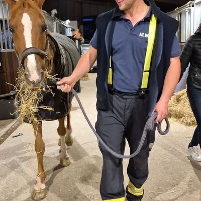 FW Schalksmühle: Feuerwehr trifft Pferd