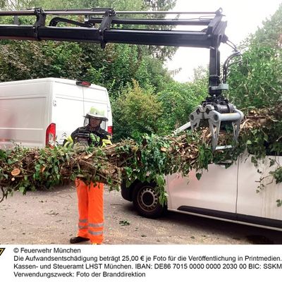 FW-M: Umgestürzter Baum erfordert schweres Gerät (Lochhausen)