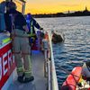 FW Konstanz: Gekentertes Segelboot im Konstanzer Trichter